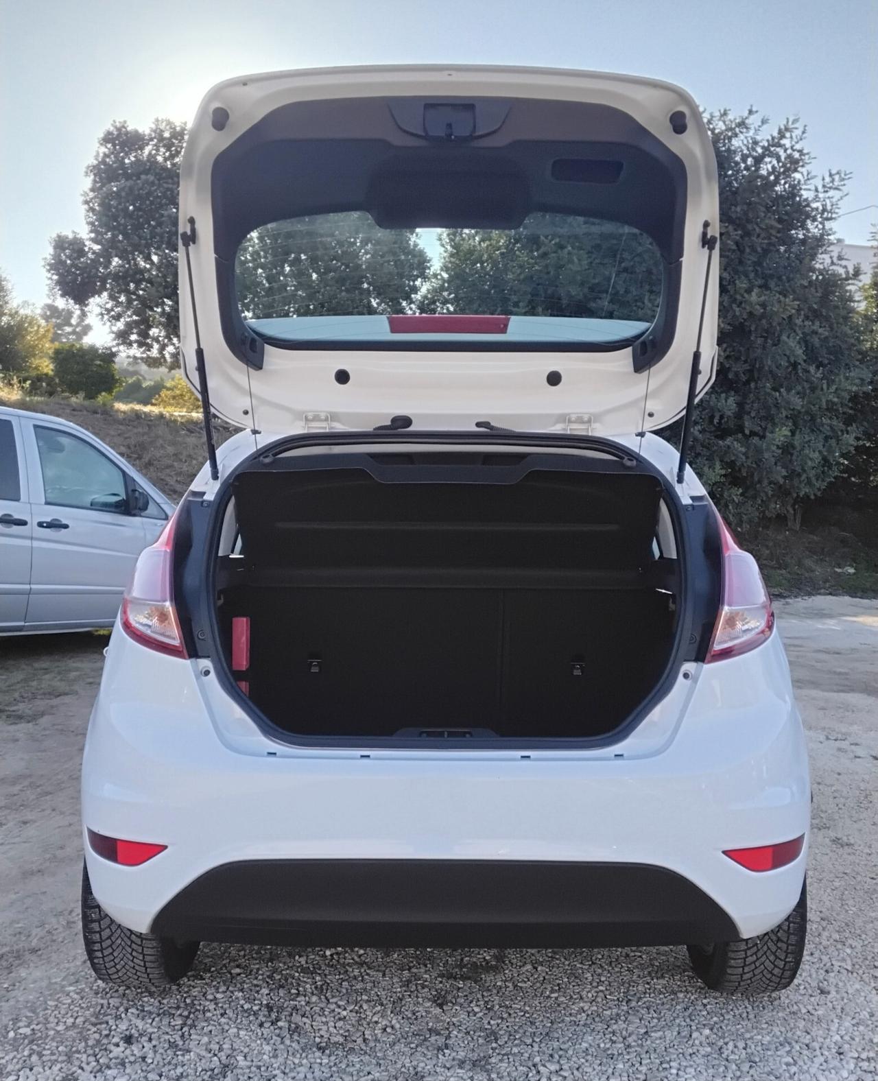 Ford Fiesta 1.5 TDCi 75CV 5 porte Titanium