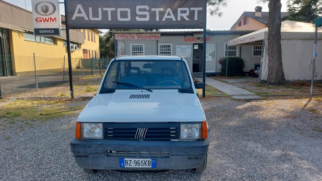Fiat Panda 1100 i.e. cat Young