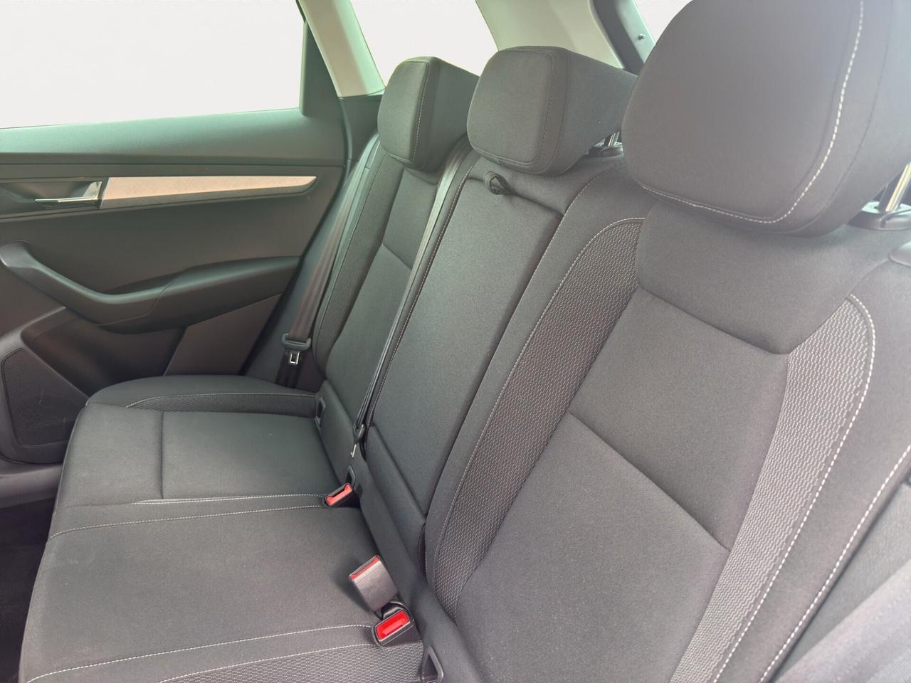 Skoda Karoq 2.0 TDI 115 CV Executive - 2024