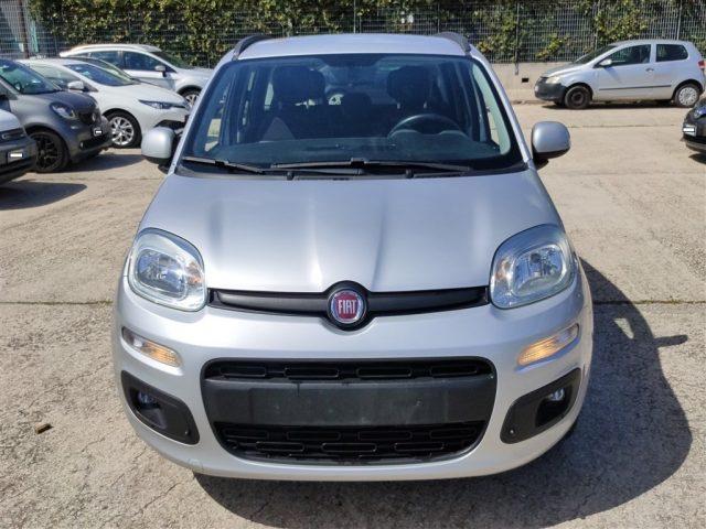 FIAT Panda 1.2 Lounge OK NEOPATENT. CLIMA,FENDINEBBIA