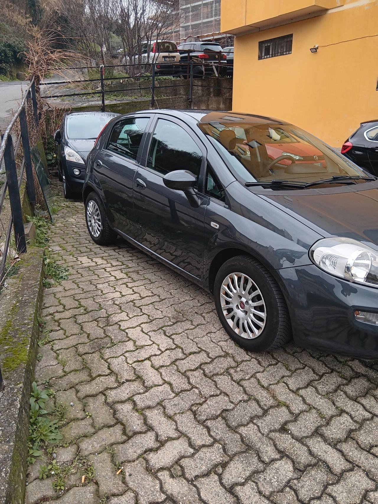 Fiat Punto 1.3 MJT II S&S 95 CV 5 porte Street