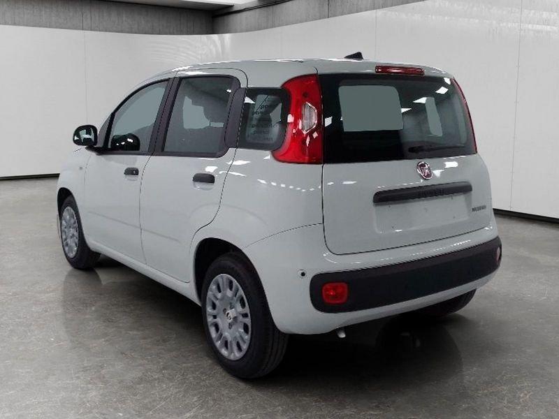 FIAT Pandina 1.0 firefly hybrid Icon s&s 70cv