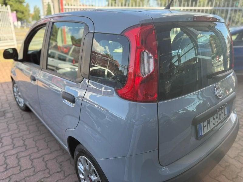 FIAT Panda 3ª serie 1.2 Easy