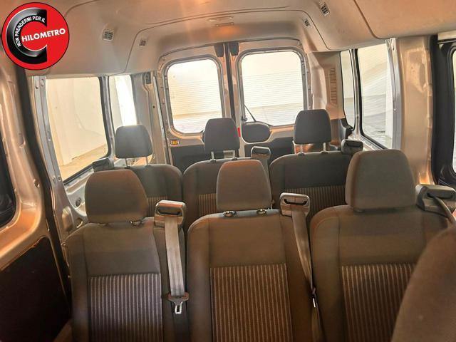 FORD Transit 310 2.0TDCi EcoBlue 130CV PL-TM IVA INCL. 9 POSTI