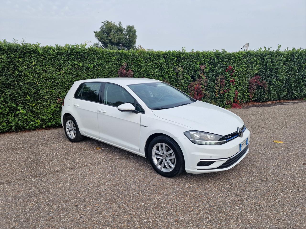 Volkswagen Golf 1.4 TGI 5p. Business BlueMotion