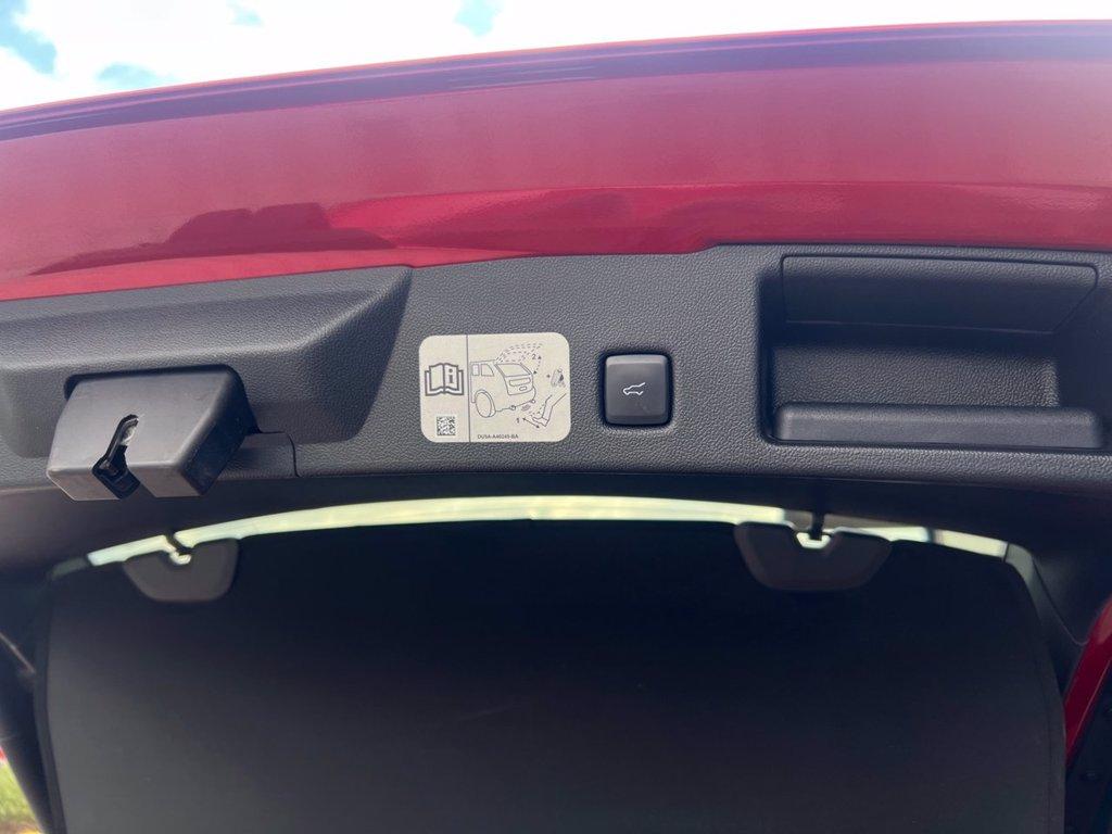 FORD Kuga 1.5 EcoBlue 120 CV aut. 2WD ST-Line X del 2020