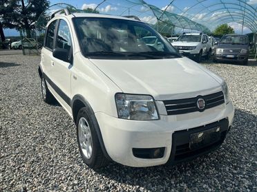 Fiat Panda 1.2 Climbing Natural Power