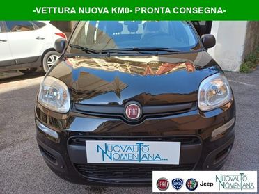 FIAT Panda Pandina 1.0 FireFly S&S Hybrid Icon 5°P. Km0
