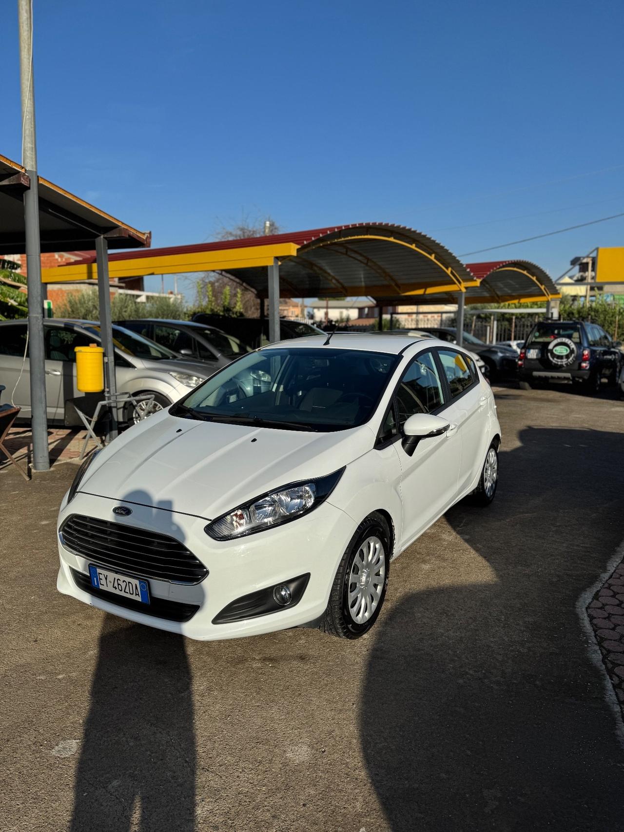 Ford Fiesta 1.5 TDCi 75CV 5 porte Black & White Edition