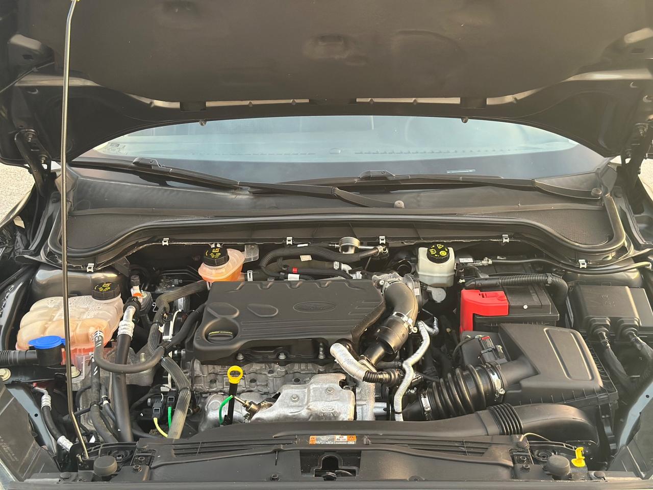 Ford Focus 2021 1.5 Diesel 120 CV Autocarro N1