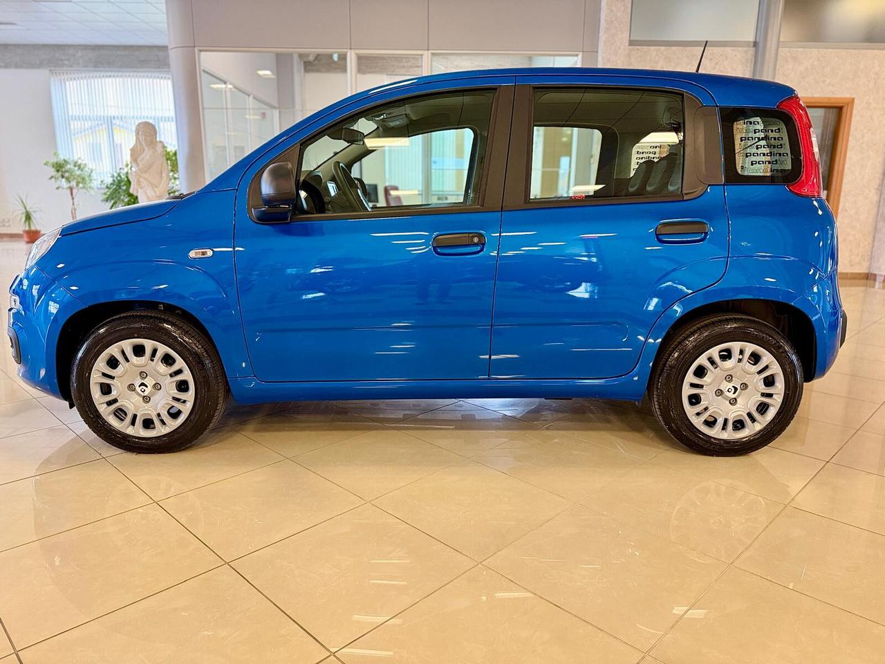 FIAT Panda Pandina Icon 5p - Hybrid 70cv S&S
