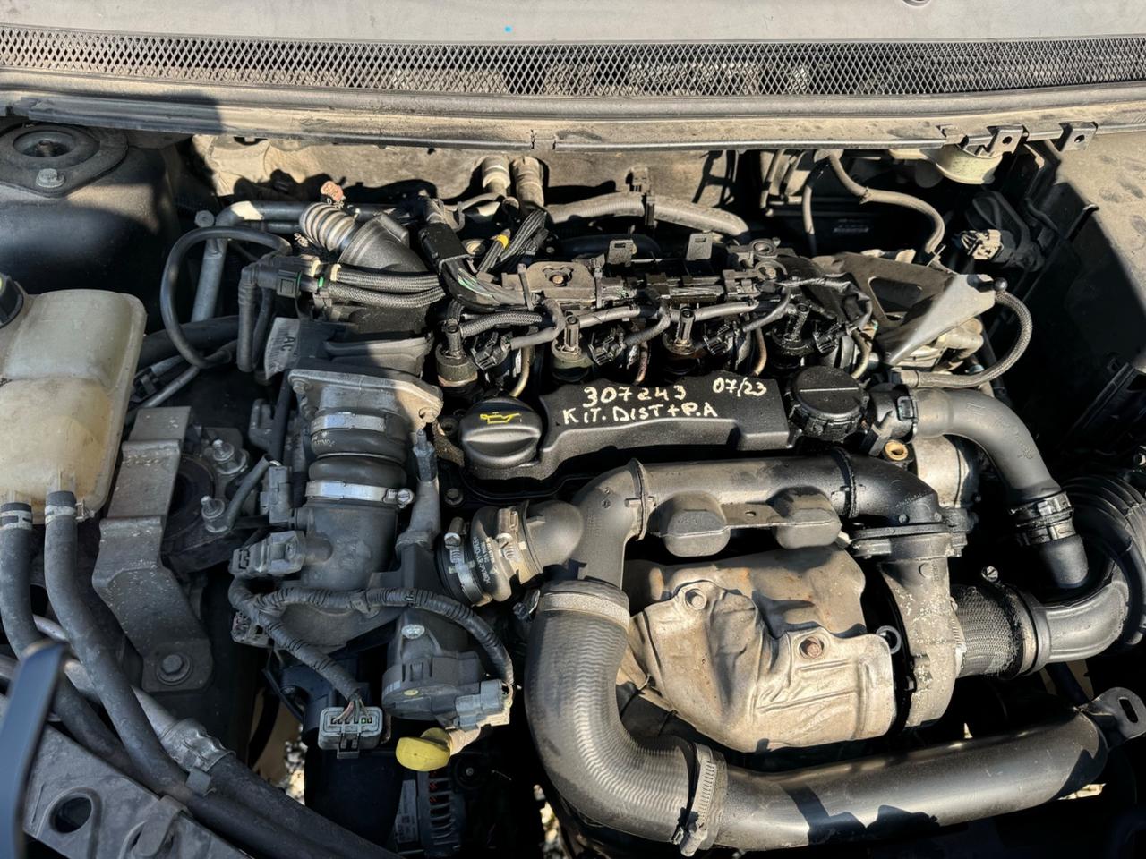 Ford Focus Focus+ 1.6 TDCi (110CV) SW DPF