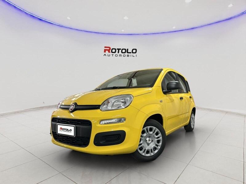 FIAT Panda 3ª serie Panda 1.0 FireFly S&S Hybr...
