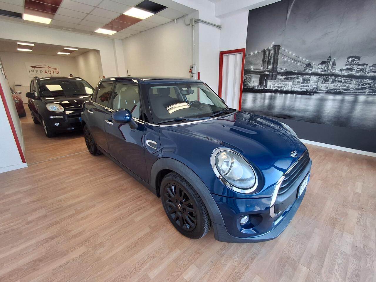 Mini Mini 1.5 One D