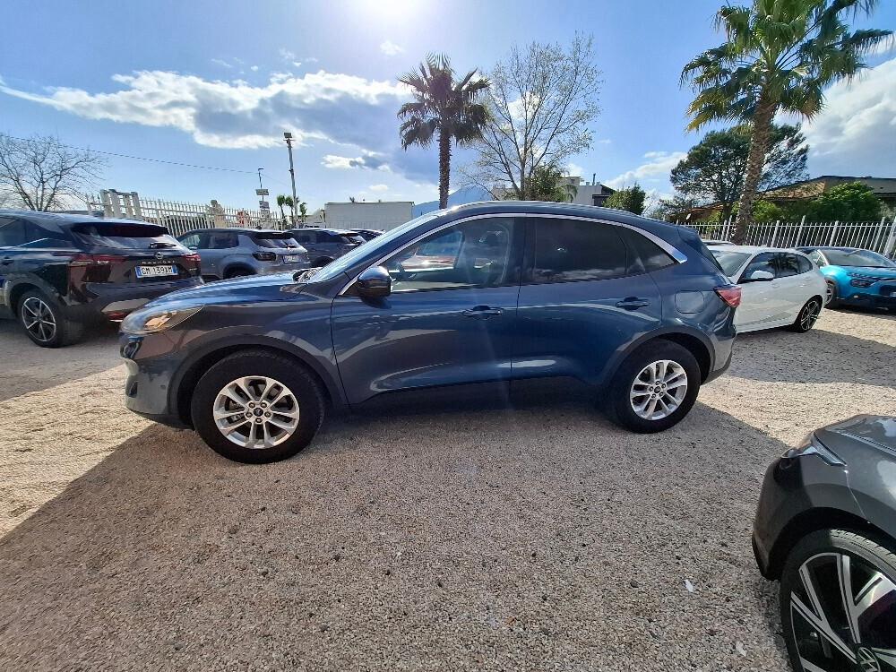 Ford Kuga 2.0 EcoBlue Hybrid 150 CV 2WD Titanium Business