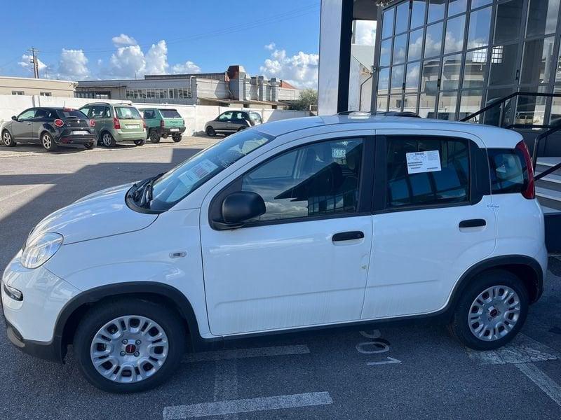 FIAT Panda Panda 1.0 FireFly S&S Hybrid