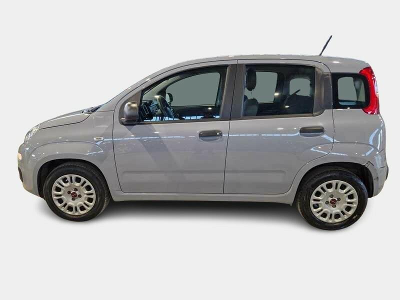 FIAT PANDA 1.2 69cv S/S E6d-Temp Easy 5 PORTE