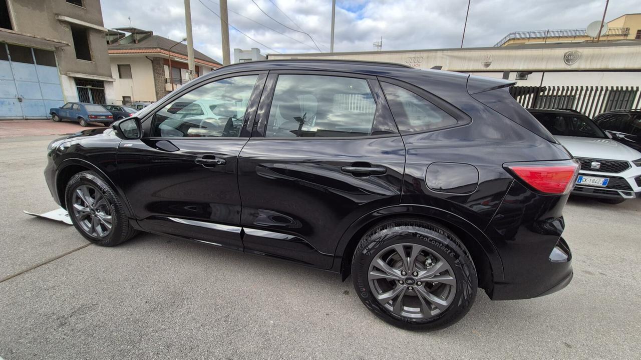 Ford Kuga 2.0 EcoBlue 120CV aut. AWD ST-Line X