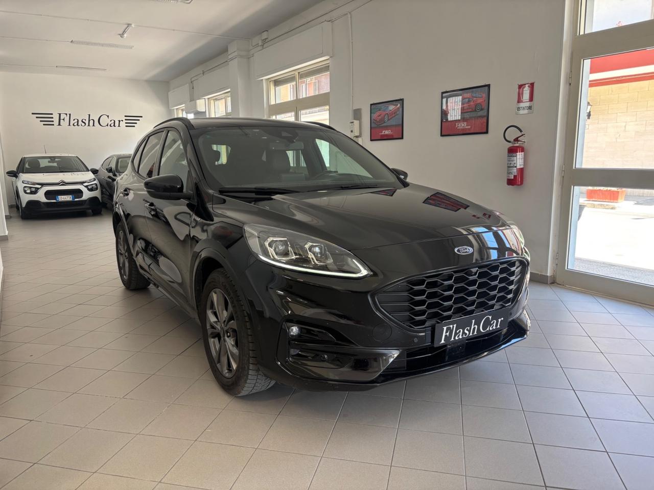 Ford Kuga 1.5 EcoBlue 120 CV aut. 2WD ST-Line X