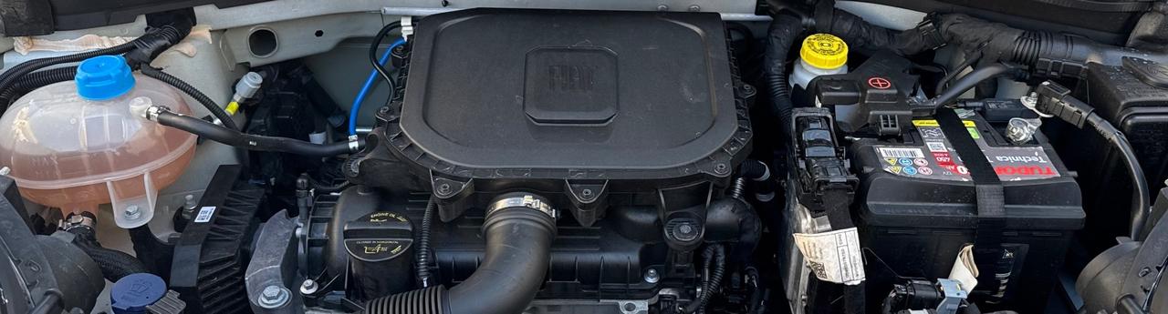 Fiat Panda Cross 1.0 Hybrid 70 Cv