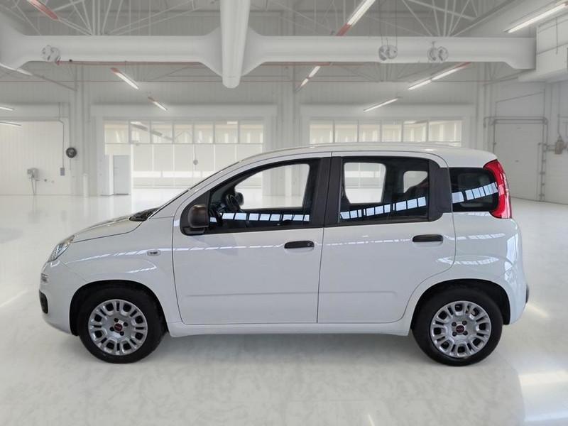 FIAT PANDA 1.0 70 CV SES HYBRID E6D-T EASY 5 PORTE BERLINA