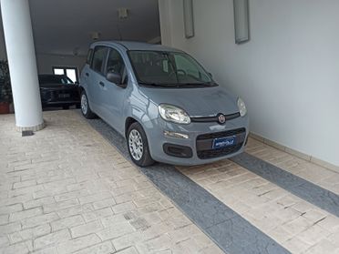 Fiat Panda 1.2 Easy 69 cv 2019