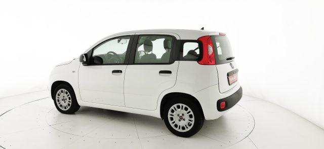 FIAT Panda 1.2 EasyPower Easy - OK NEOPATENTATO