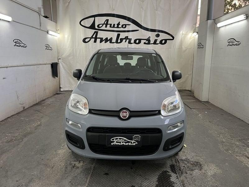 FIAT Panda Panda 1.2 tua da 109,00 al mese