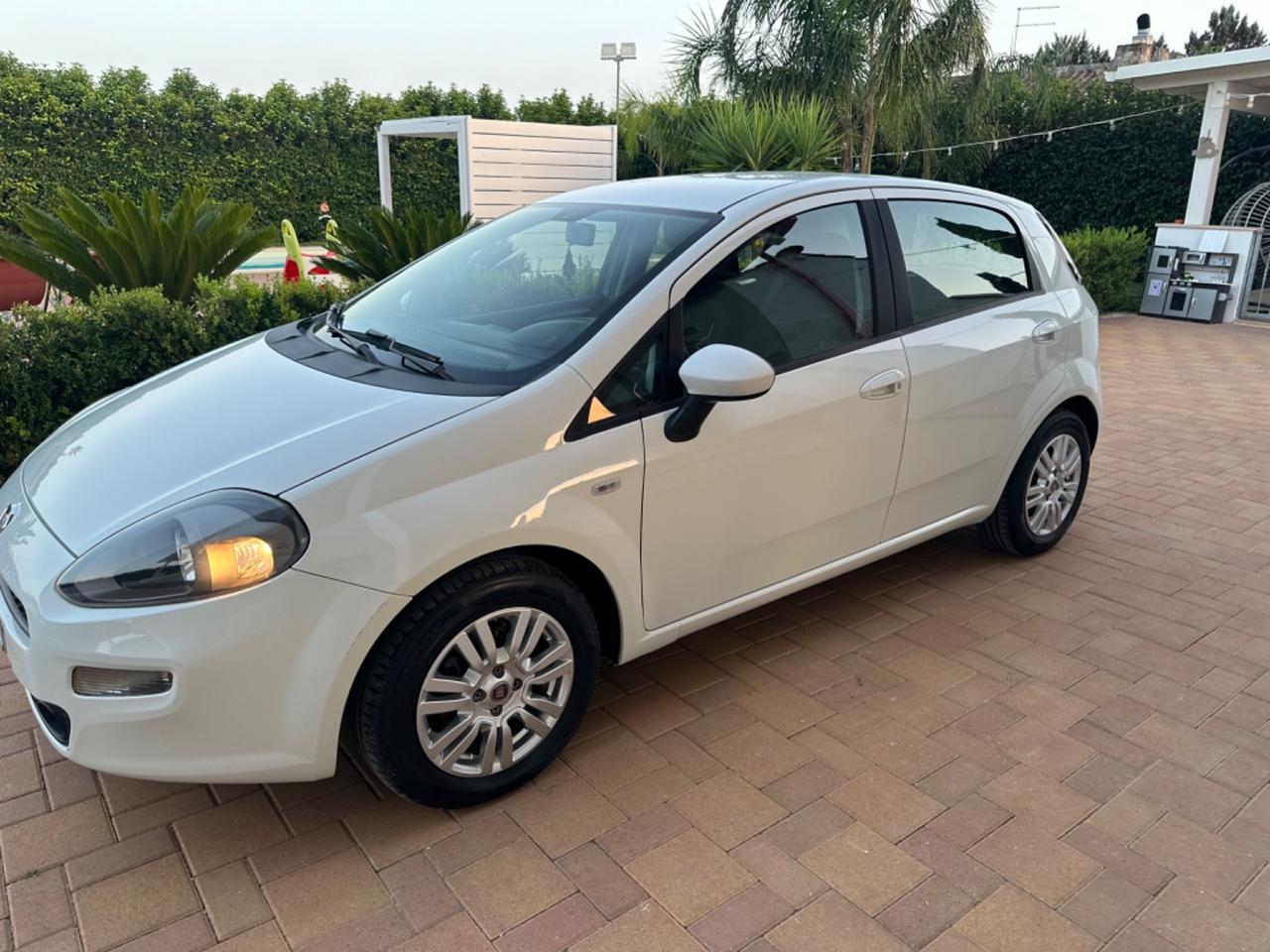 Fiat Punto 1.3 MJT II 75 CV 5 porte Street