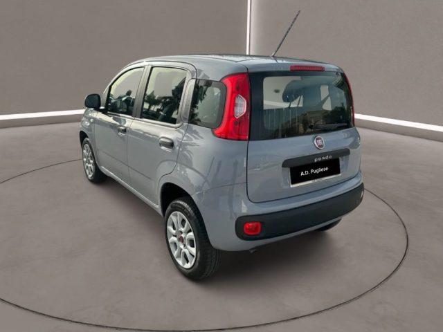 FIAT Panda 3ª serie - 0.9 TwinAir Turbo Natural Power Easy
