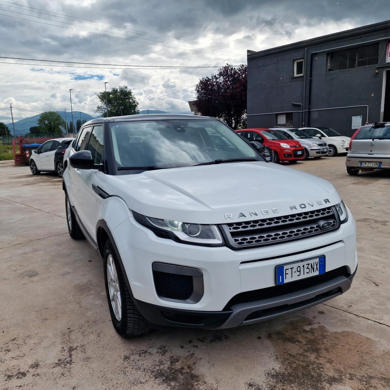 Land Rover Range Rover Evoque Range Rover Evoque 2.0 TD4 150 CV 5p. Pure