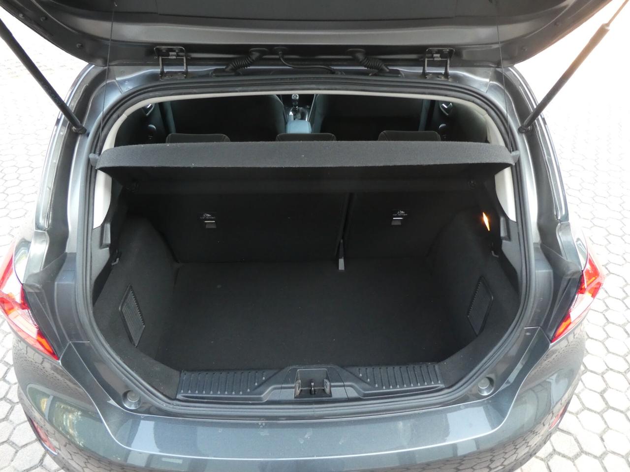 Ford Fiesta 1.0 Ecoboost Hybrid 125 CV 5 porte OK NEOPATENTATI 1