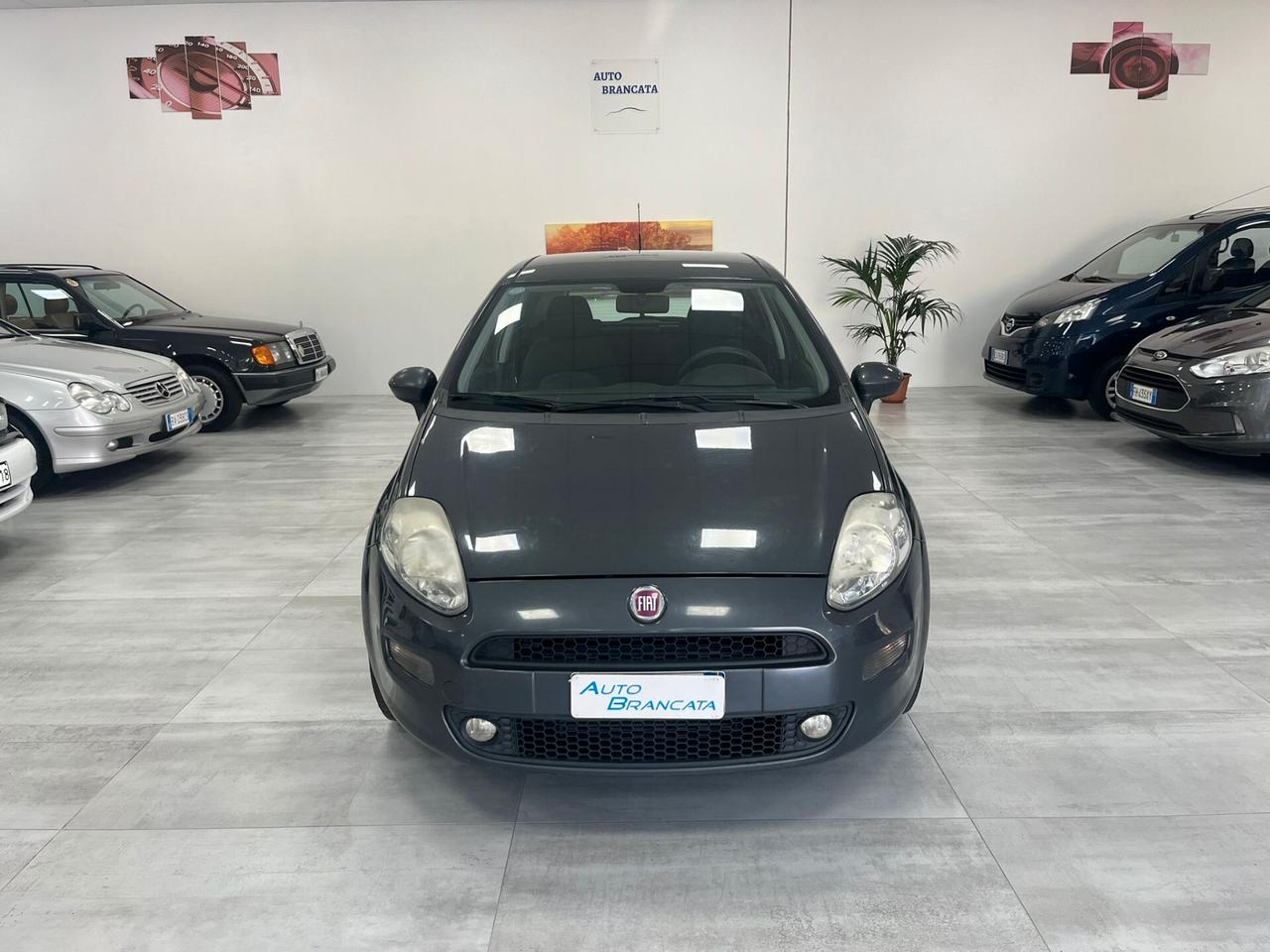 Fiat Punto 5p 1.3 mjt 16v 75cv
