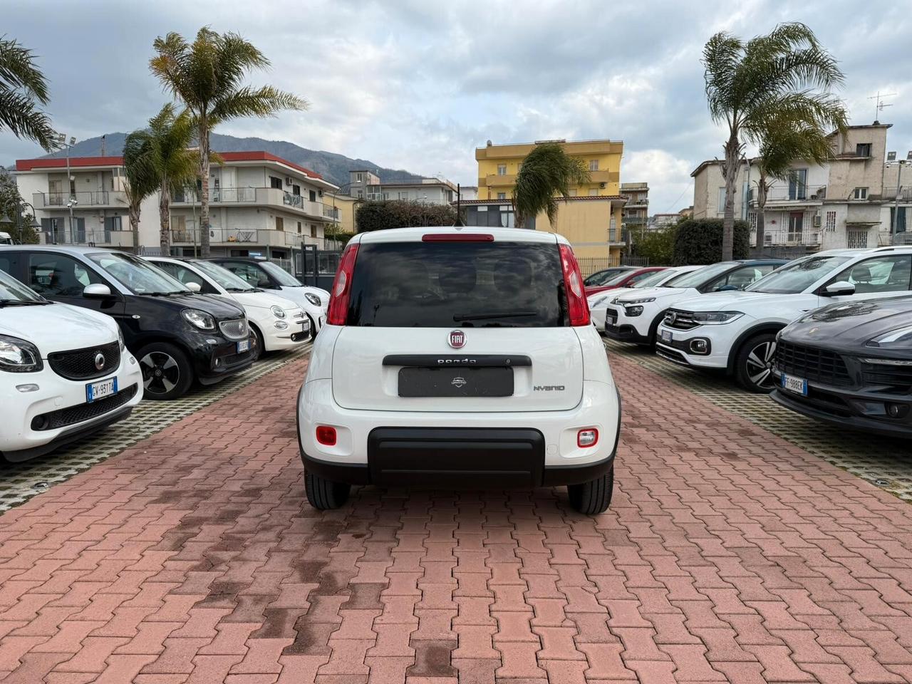 Fiat Panda 1.0 FireFly S&S Hybrid (IVA DEDUCIBILE)