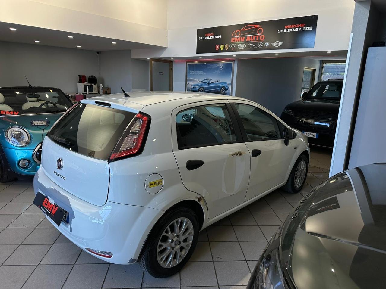 Fiat Punto 1.3 MJT II 75 CV 5 porte Street ok neopatentati