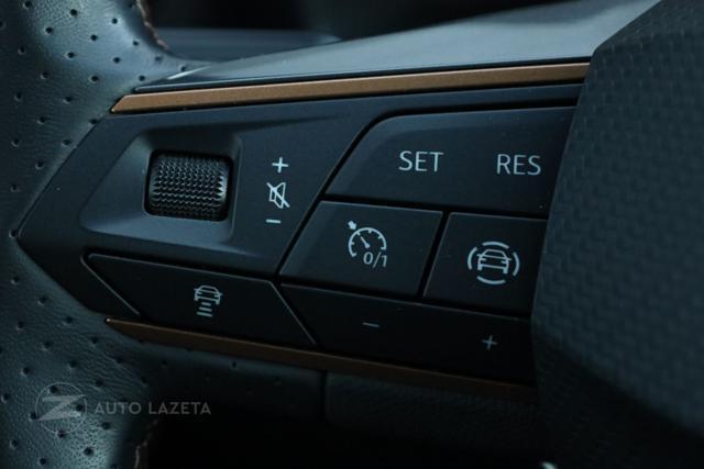 CUPRA Formentor 2.0 TDI Tetto Apribile-Impianto Audio Beats