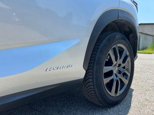 LEXUS NX 300 Hybrid Business