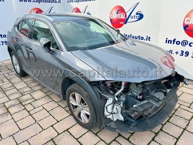 Lexus UX 250 Hybrid Business ECVT NETTO 14500