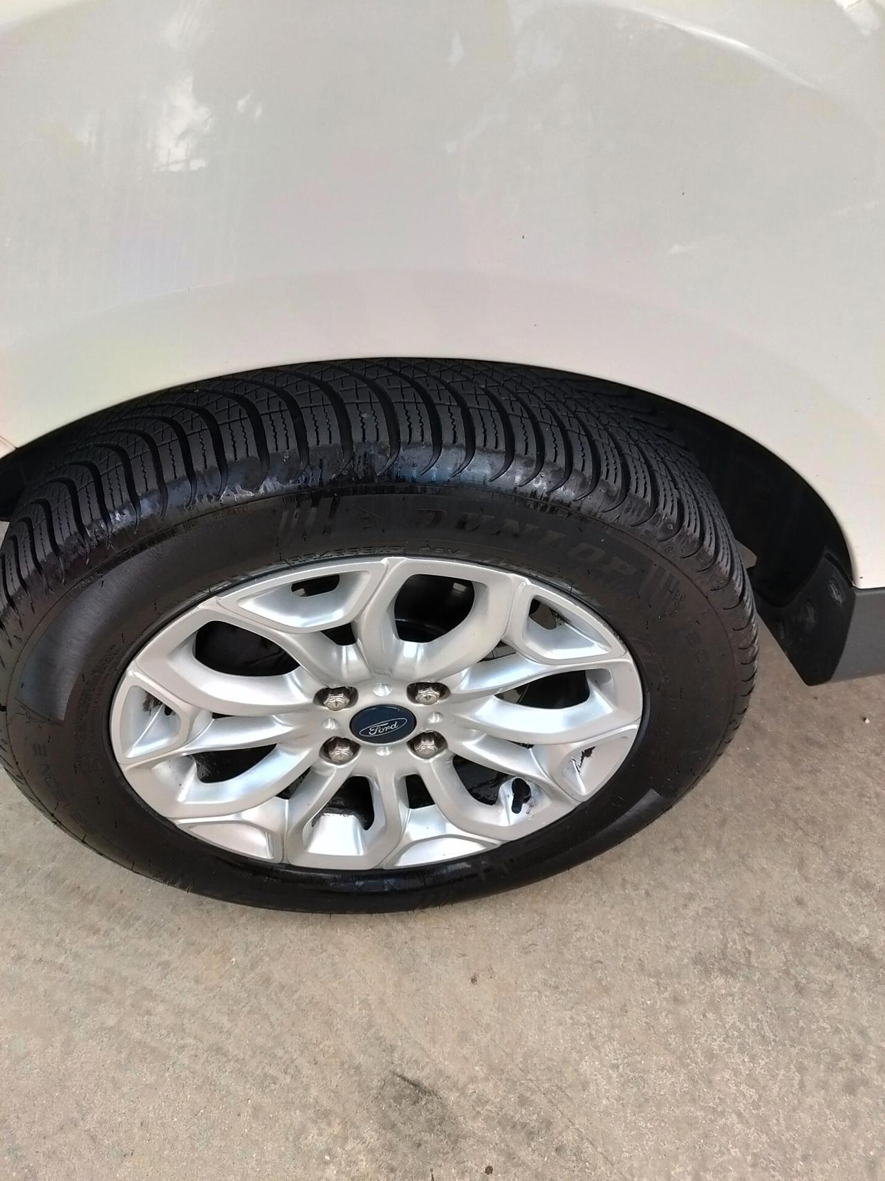 Ford EcoSport 1.5 TDCi 95 CV Titanium