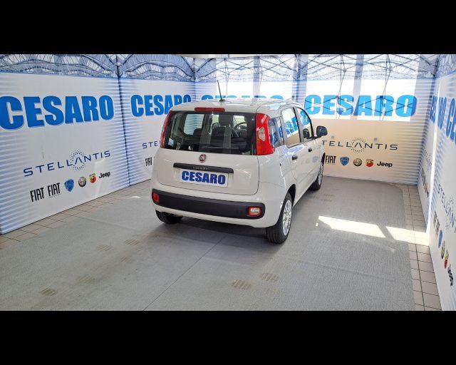 FIAT New Panda 1.2 69cv Easy s&s 5 posti