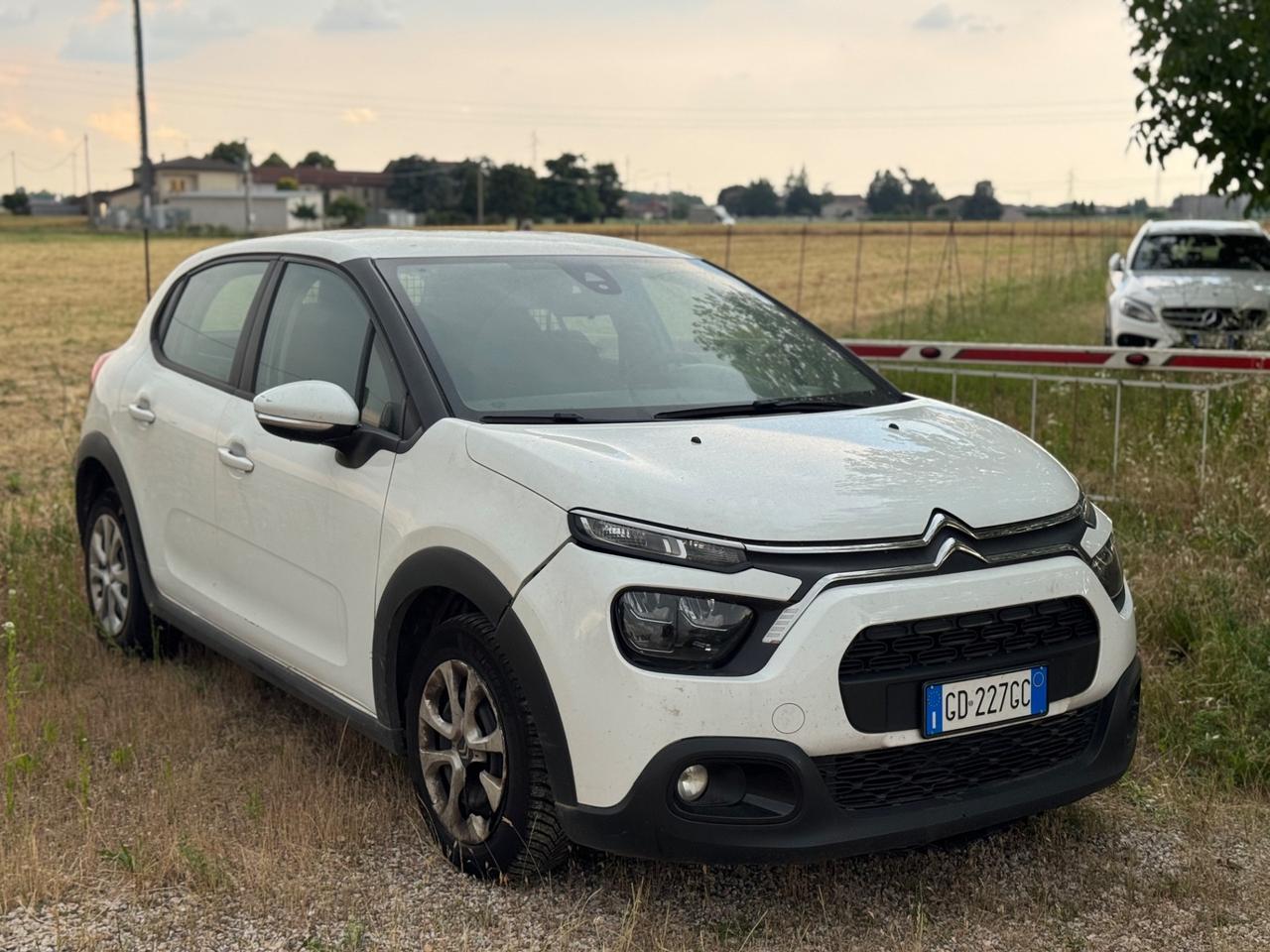 Citroen C3 1.5 BlueHDi 102cv Van 2 Posti