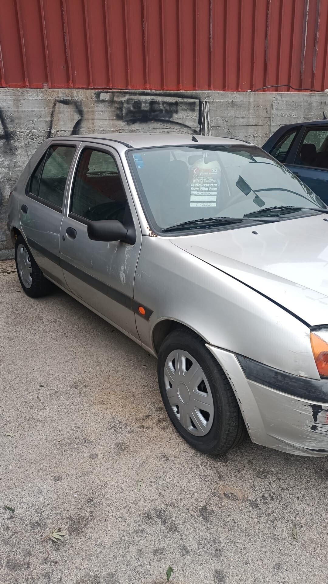 Ford Fiesta 1.2i 16V cat 5 porte Ghia