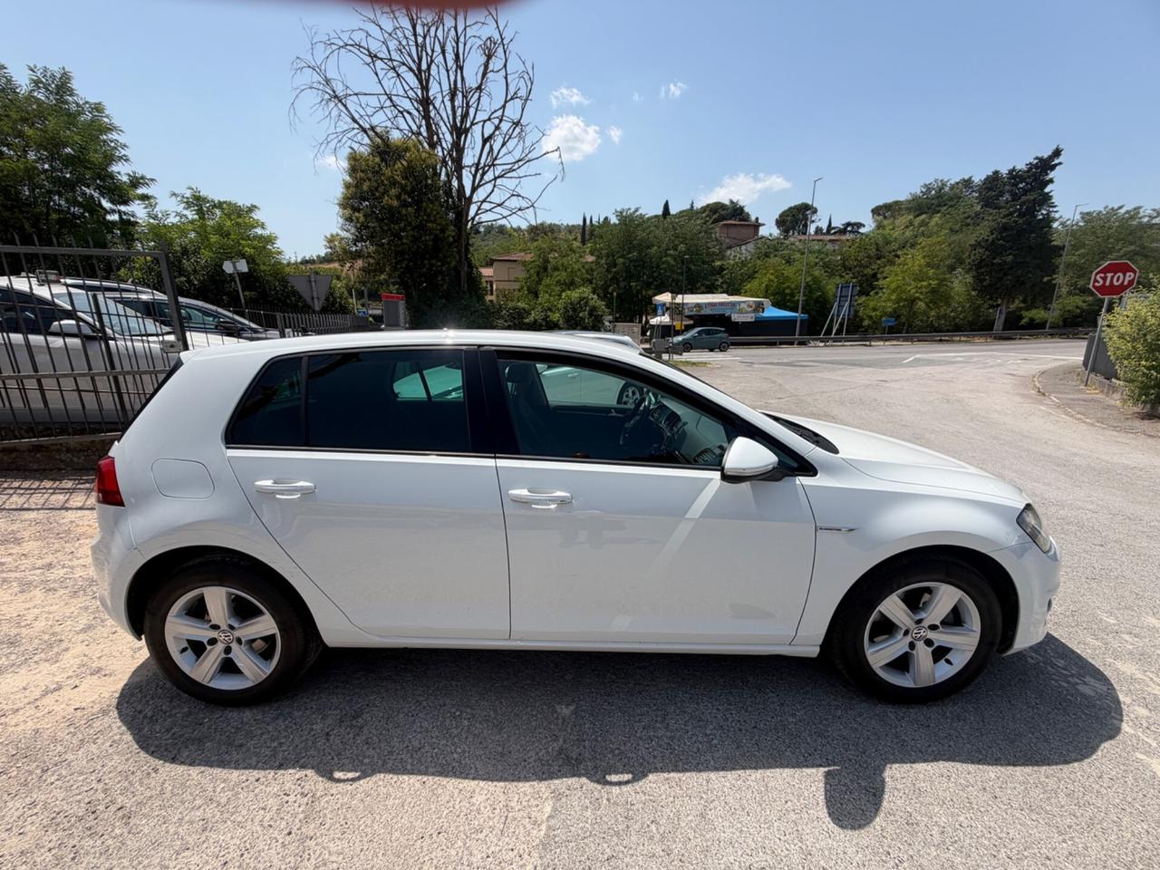 Volkswagen Golf 1.4 TGI DSG 5p. Executive BlueMotion