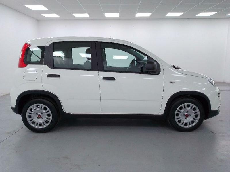 FIAT Panda 1.0 firefly hybrid s&s 70cv 5p.ti