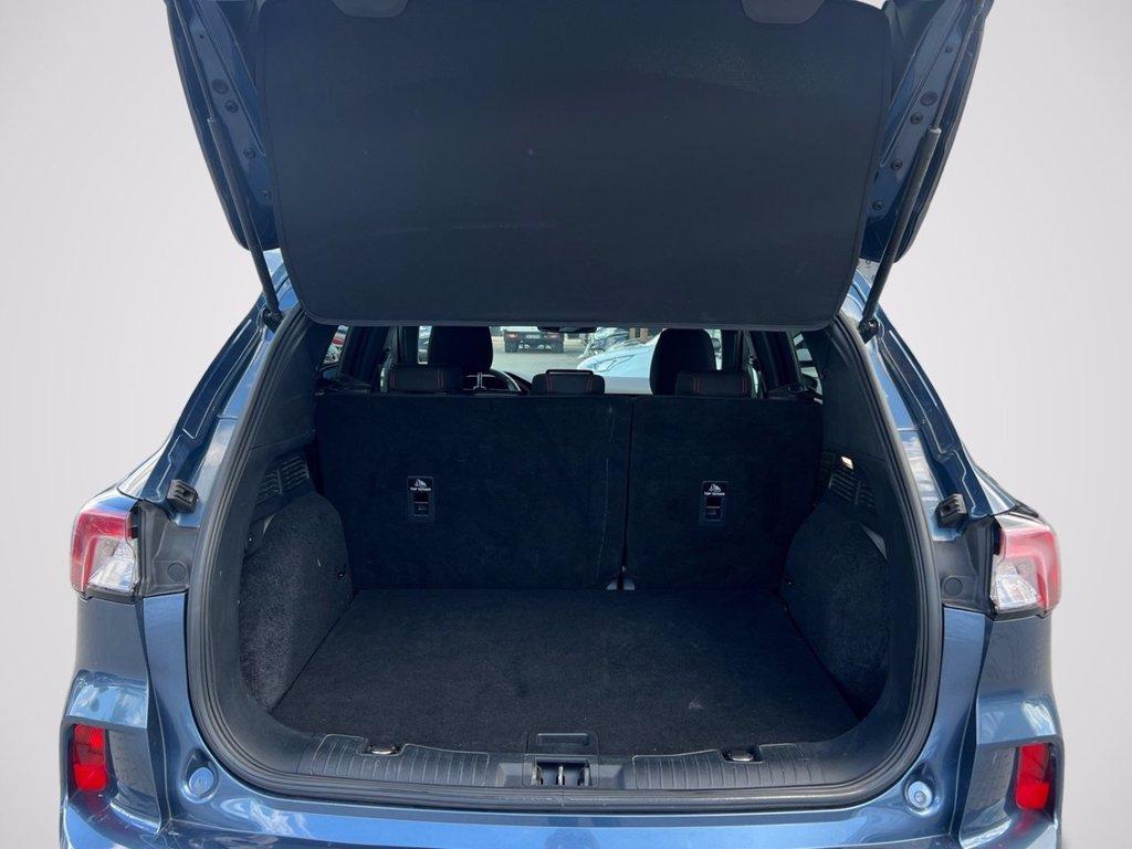FORD Kuga 1.5 ecoblue ST-Line 2wd 120cv del 2021