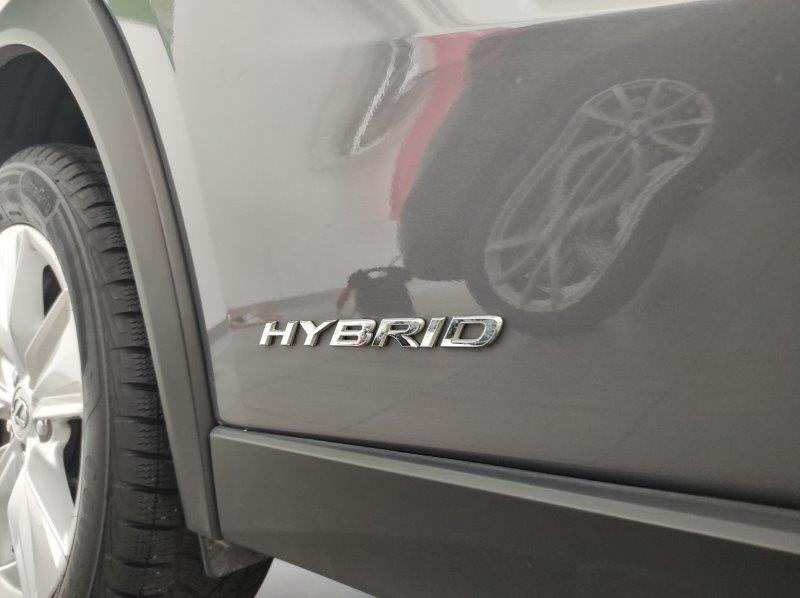 LEXUS UX - UX Hybrid Business