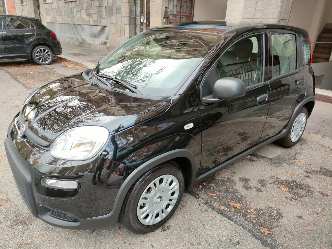 Fiat Panda PANDINA 1.0 FireFly S&S Hybrid