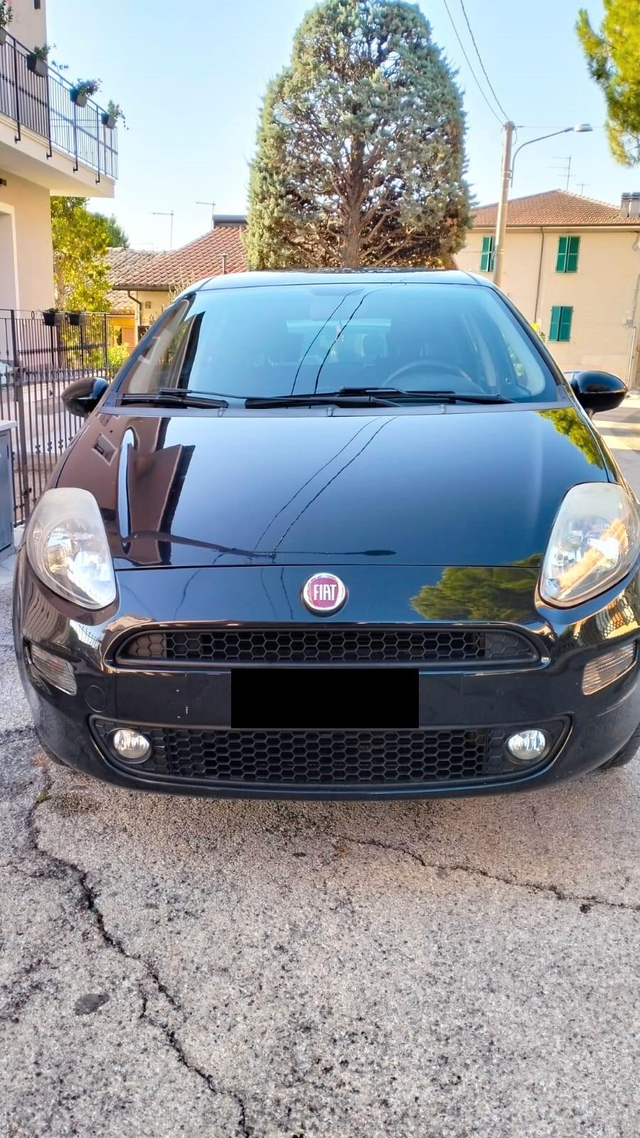 Fiat Punto 1.4 8V 5 porte Natural Power Street