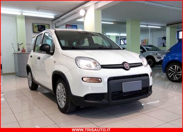 FIAT Panda 1.0 FireFly S&S Hybrid MY24 KM ZERO!!! IVATA NEOPATENTATI