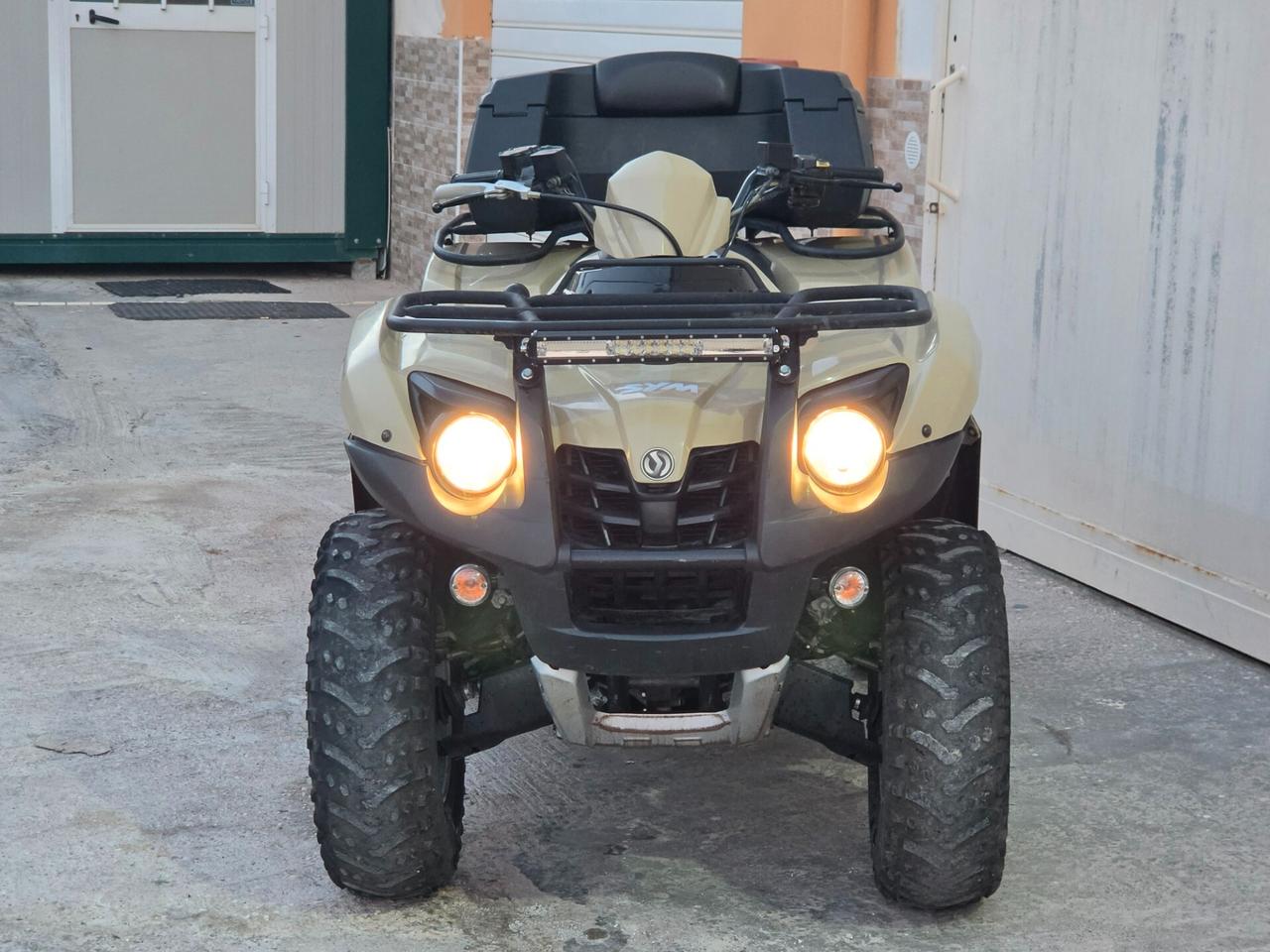 Sym Quad Raider 600 LE